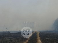 В Туле загорелось поле, Фото: 7
