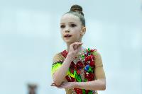 Тула провела крупный турнир по художественной гимнастике, Фото: 23