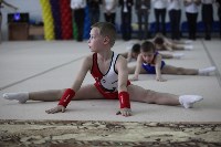 Соревнования по спортивной гимнастике на призы Заслуженных мастеров спорта , Фото: 22