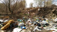 В Туле на берегу Тулицы обнаружен незаконный мусорный полигон, Фото: 6