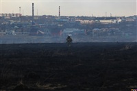 Сразу в нескольких районах Тульской области загорелись поля, Фото: 9