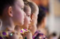 Соревнования по художественной гимнастике на призы благотворительного фонда «Земляки», Фото: 216