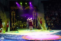 Цирк на воде «Остров сокровищ» в Туле: Здесь невозможное становится возможным, Фото: 46