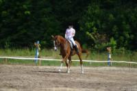 В Ясной поляне стартовал турнир по конному спорту, Фото: 39