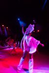 Успейте посмотреть шоу «Новогодние приключения домовенка Кузи» в Тульском цирке, Фото: 92