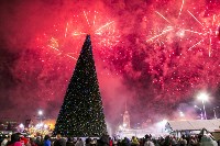 Открытие новогодней ёлки на площади Ленина, Фото: 50