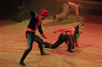 Цирк «Вива, Зорро!» в Туле , Фото: 23