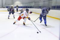 Команда ЕВРАЗ обыграла соперников в отборочном матче Тульской любительской хоккейной Лиги, Фото: 10