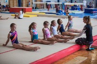Тульские гимнастки готовятся к первенству России, Фото: 29