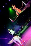 Цирк «Вива, Зорро!» в Туле , Фото: 65