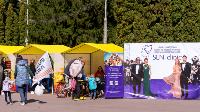 Семейный фестиваль «Школодром-2022» в Центральном парке Тулы: большой фоторепортаж и видео, Фото: 566