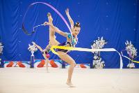 Соревнования по художественной гимнастике на призы благотворительного фонда «Земляки», Фото: 193