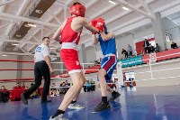 В Тульской области проходит областное первенство по боксу, Фото: 19