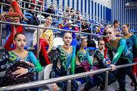 Соревнования по эстетической гимнастике «Кубок Роксэт», Фото: 188