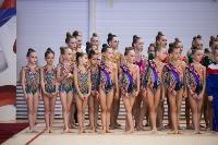 Соревнования по художественной гимнастике на призы благотворительного фонда «Земляки», Фото: 208