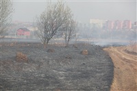 Возгорание сухой травы напротив ТЦ "Метро", 7.04.2014, Фото: 21