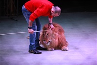 Новая программа в Тульском цирке «Нильские львы». 12 марта 2014, Фото: 8