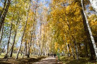 Золотая осень в Ясной Поляне, Фото: 29