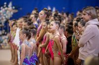 Соревнования по художественной гимнастике на призы благотворительного фонда «Земляки», Фото: 223