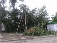 Ураган в Плавске, Фото: 2