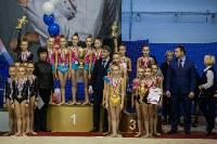 Всероссийские соревнования по художественной гимнастике на призы Посевиной, Фото: 31