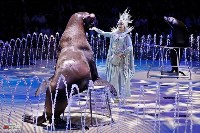 Цирковое шоу фонтанов 13 месяцев, Фото: 19