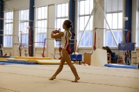 Спортивная гимнастика в Туле 3.12, Фото: 137