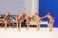 Соревнования по художественной гимнастике на призы благотворительного фонда «Земляки», Фото: 81