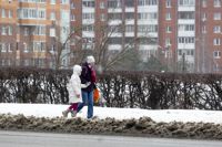 Улицы Тулы сковало льдом: фоторепортаж	, Фото: 25