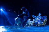 Шоу фонтанов «13 месяцев»: успей увидеть уникальную программу в Тульском цирке, Фото: 143