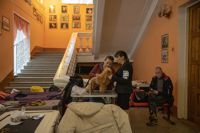 Выставка собак в Туле, Фото: 45