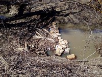 Медицинские отходы в реке, Фото: 1