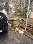 В Заречье на припаркованный автомобиль упало дерево, Фото: 11