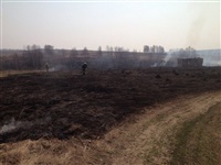 В Ленинском районе из-за горящей травы сгорела дача, Фото: 10