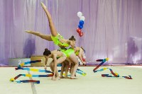 Всероссийские соревнования по художественной гимнастике на призы Посевиной, Фото: 71