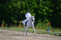 В Ясной поляне стартовал турнир по конному спорту, Фото: 117