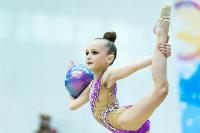Тула провела крупный турнир по художественной гимнастике, Фото: 174