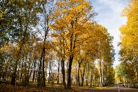 Золотая осень в Туле-2019, Фото: 67