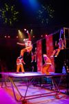 Успейте посмотреть шоу «Новогодние приключения домовенка Кузи» в Тульском цирке, Фото: 86