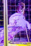 На каникулах – в Цирк больших зверей, Фото: 10