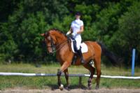 В Ясной поляне стартовал турнир по конному спорту, Фото: 102