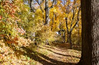 Золотая осень в Ясной Поляне, Фото: 17