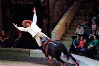 Цирк «Вива, Зорро!» в Туле , Фото: 83