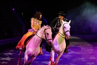 Цирк «Вива, Зорро!» в Туле , Фото: 80