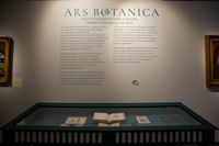 Выставка Ars Botanica в филиале Исторического музея в Туле: интерьеры , Фото: 5