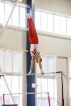Спортивная гимнастика в Туле 3.12, Фото: 11