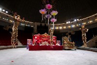 Грандиозное цирковое шоу «Песчаная сказка» впервые в Туле!, Фото: 19