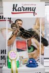 Выставка кошек в Туле, Фото: 59
