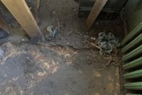 В Туле пенсионерка четыре месяца живет без газа после обрушения потолка, Фото: 5