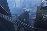 Пожар на хлебоприемном предприятии в Плавске., Фото: 22